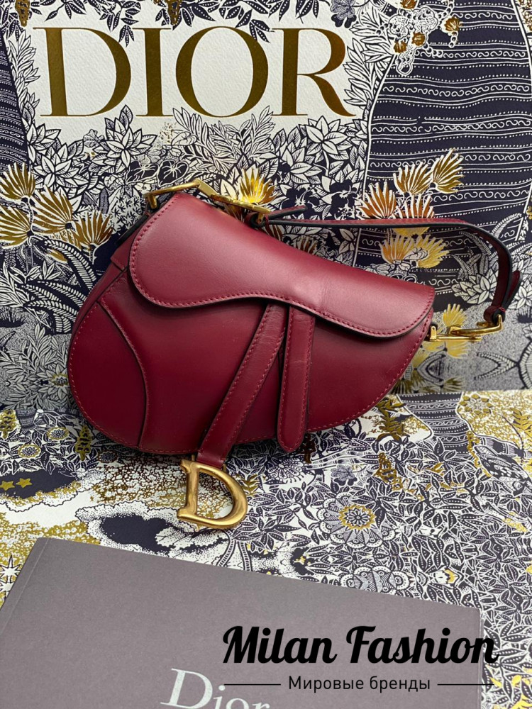 Сумка Saddle  Christian Dior V3516. Вид 1